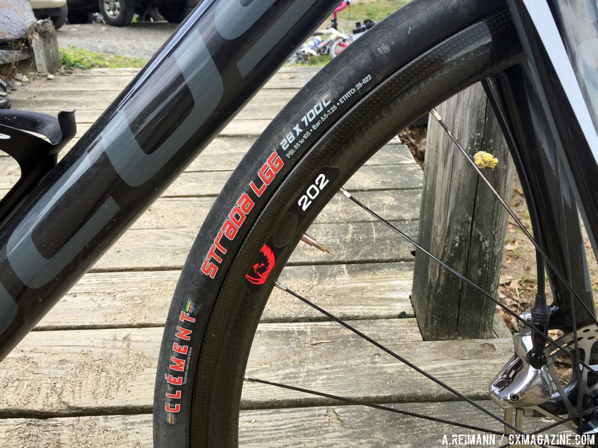 focus cayo disc