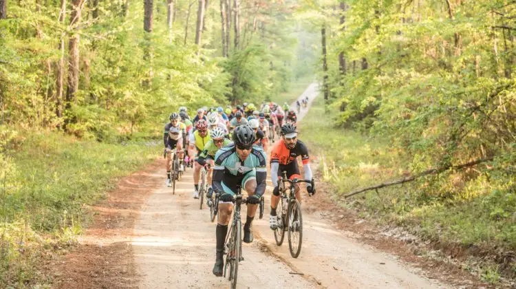 The 108 mile field hits the first climb on the first gravel section. © Ken Lim / Cyclocross Magazine