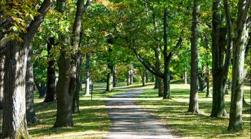 Genesee Valley Park is a picture-perfect cyclocross venue. photo: Patrick Breen