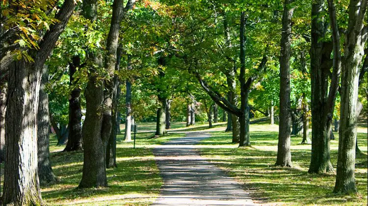 Genesee Valley Park is a picture-perfect cyclocross venue. photo: Patrick Breen