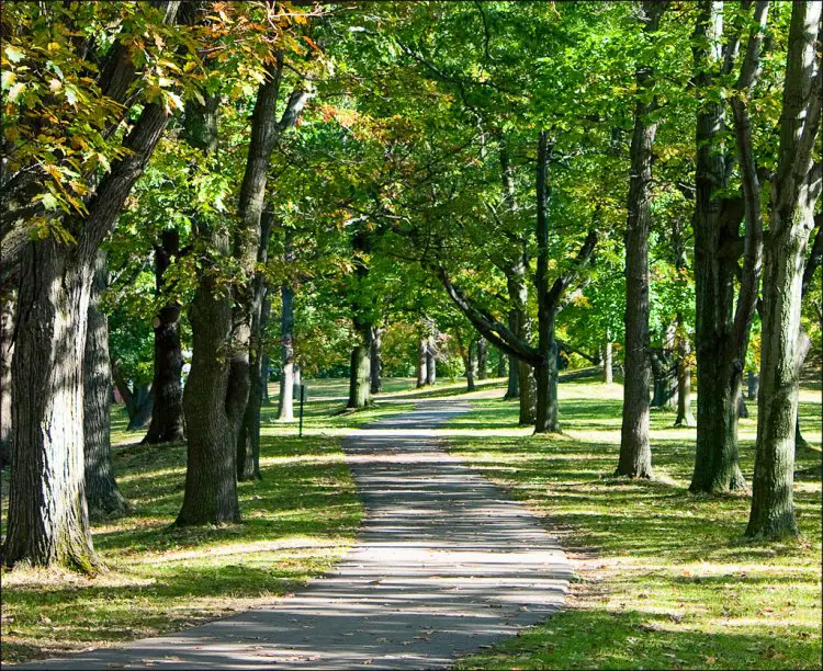 Genesee Valley Park is a picture-perfect cyclocross venue. photo: Patrick Breen