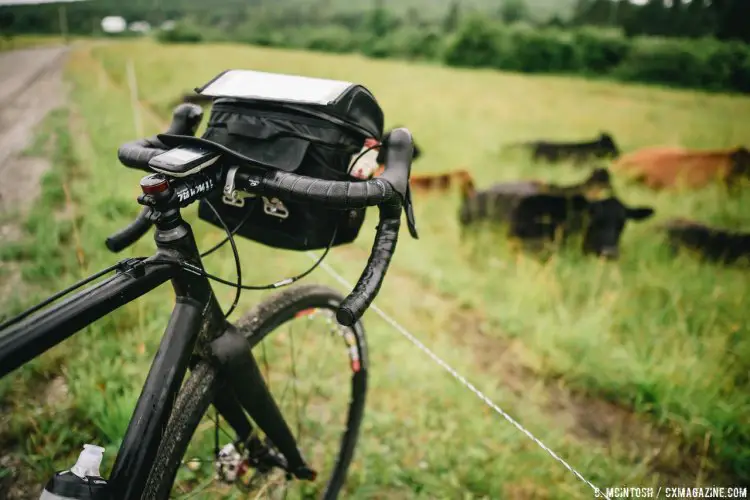 More cows than crowds at this laid back gravel ride. This fence is electric but the cows are not. © Chris McIntosh / Cyclocross Magazine