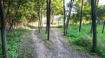 "The Little Zolder" section allows racers to find their own line. 2016 Trek CXC Cup cyclocross course preview. © Zachary Schuster