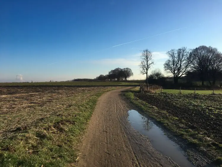 A picture of the Dutch countryside from my run. photo: Caleb Swartz