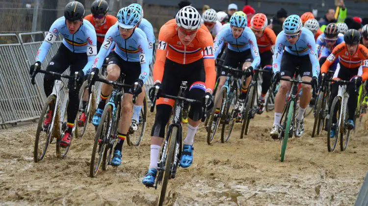 Wout van Aert wasn't afraid to stray from convention, and his decision to roll on old Michelin Mud treads could have played a role in leaving others green with envy of his jersey. 2017 UCI Cyclocross World Championships, Bieles, Luxembourg. © C. Jobb / Cyclocross Magazine