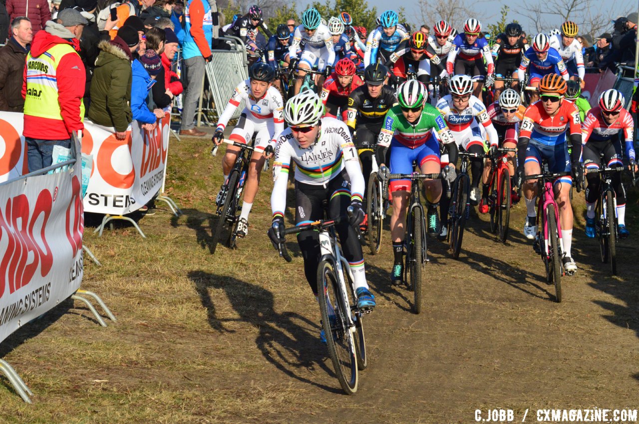 Start of the Elite Women's race - 2017 Hoogerheide World Cup. © C. Jobb / Cyclocross Magazine