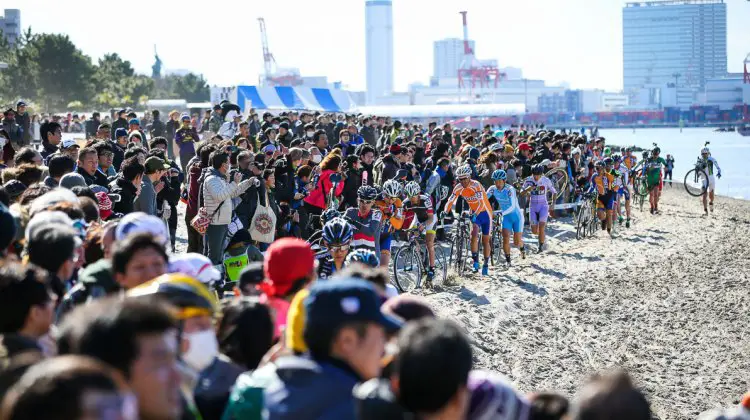 Some estimated the crowds to be 20,000 strong. 2017 CX Tokyo. © Kei Tsuji