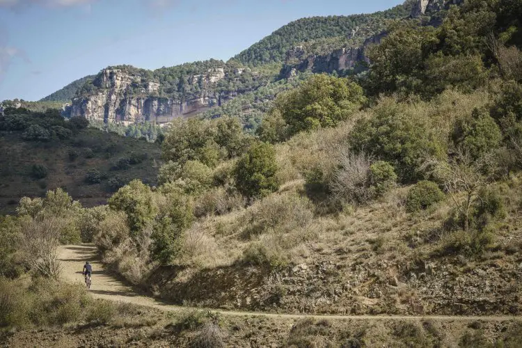 The new $67.95 Byway Road Plus TCS tubeless gravel tire from WTB expands the Road Plus category with side knobs and side roads.