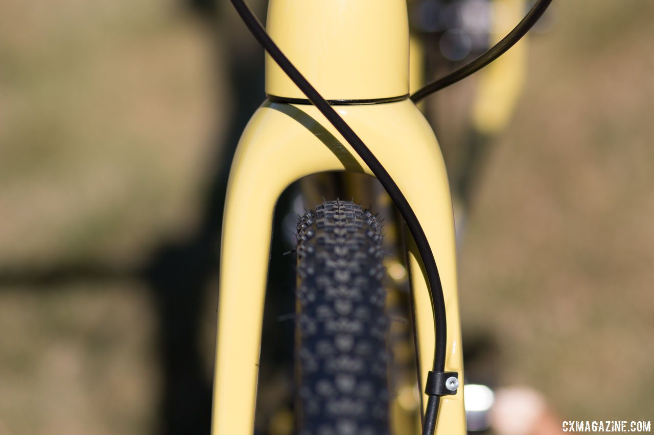 kona jake the snake 2020