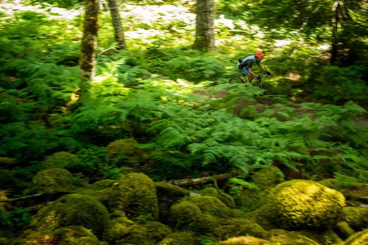 Cyclocross Magazine's Andrew Yee pushing the Kona Rove NRB DL through the woods of British Columbia. photo: courtesy