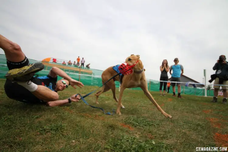 Jason Bernstein and his Doggie Cross partner Trey run into some problems. 2017 Jingle Cross World Cup © D. Mable / Cyclocross Magazine