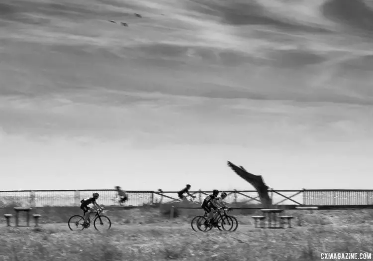 The 2017 Rock Lobster Cup brings back coastal cyclocross racing to Santa Cruz, after the 2016 Rock Lobster Cup delivered grassroots racing landed in Lighthouse Park. © Cyclocross Magazine