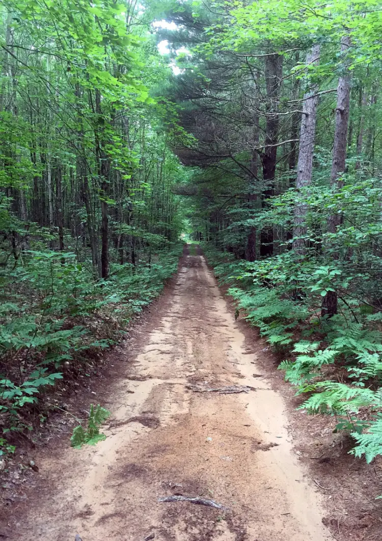 Manistee National Forest snowmobile trail. Photo courtesy of Coast to Coast Gravel Grinder