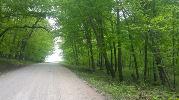 The Almanzo 100 course had a healthy amount of climbing. The GS long cage made several of the steepest climbs more tolerable. 2018 Almanzo 100 Gravel Race. © Cyclocross Magazine