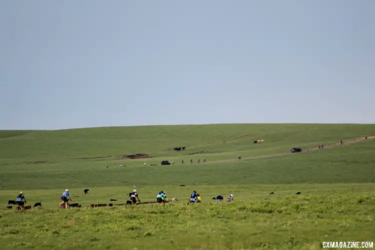 Riders, cows and cars wind their way through the Flint Hills. 2018 Dirty Kanza 200. © Z. Schuster / Cyclocross Magazine