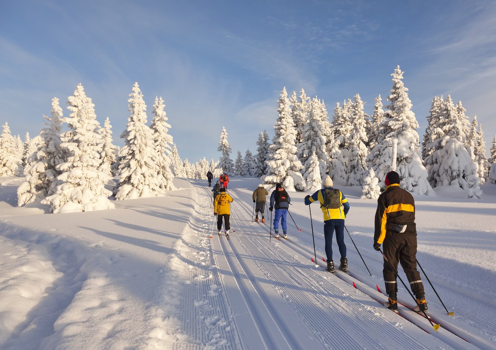 Cross country skiing can be a nice cardio "break" from the trainer. photo: flickr user Ladonna Darby
