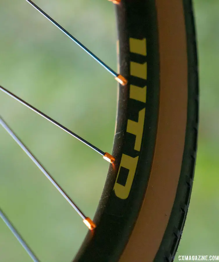 Details matter. Fuji equipped the Jari Carbon with gold spoke nipples. 2019 Fuji Jari Carbon 1.1 Gravel bike. © Cyclocross Magazine