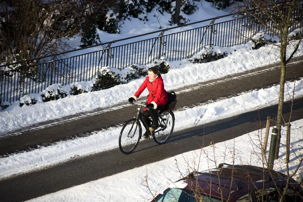 cheap winter bike