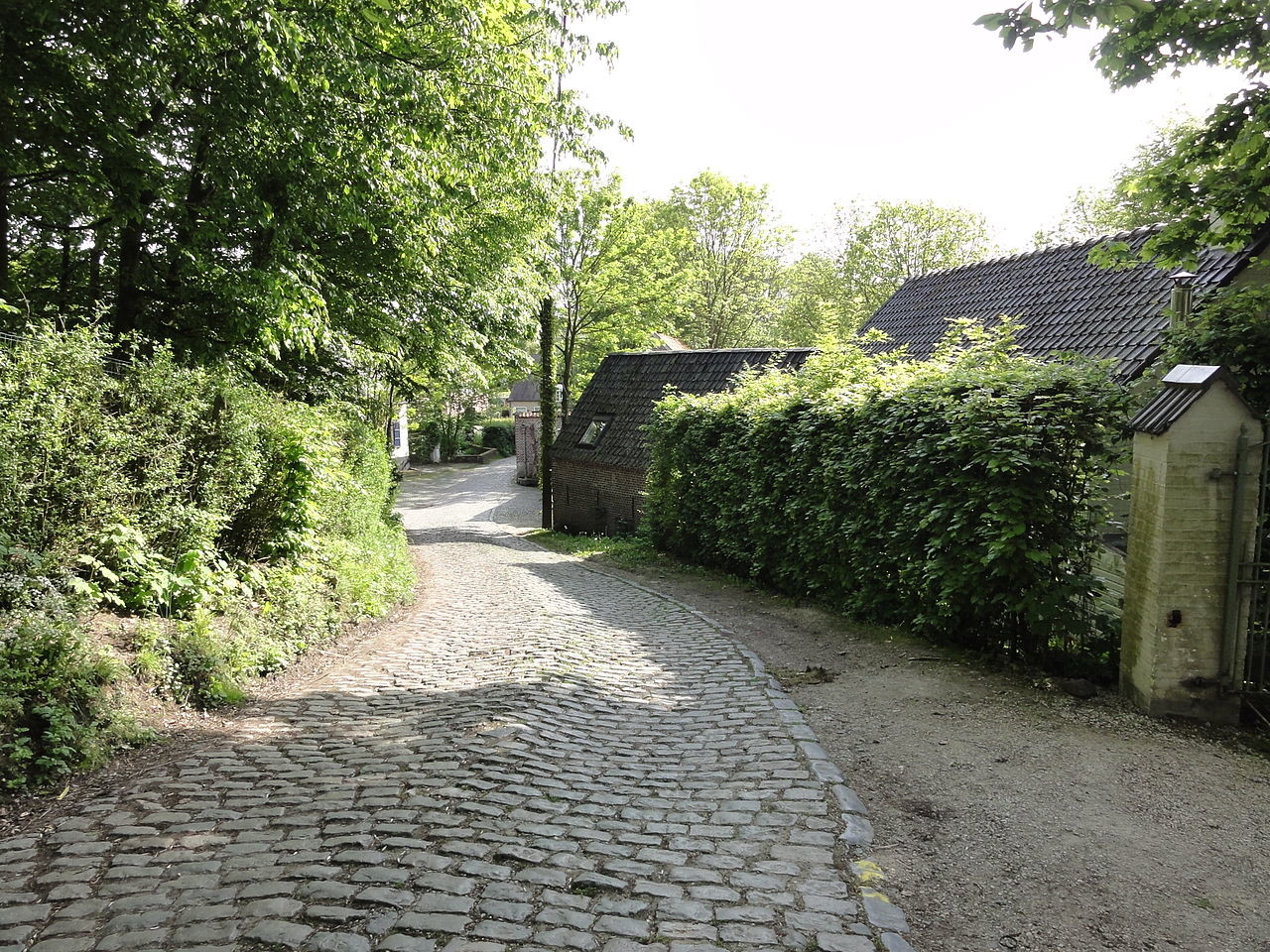 Molenberg climb. photo: LimoWreck, used under a Creative Commons license