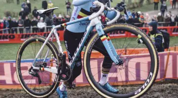 Sanne Cant's 2019 World Championships Stevens Super Prestige. © B. Hamvas