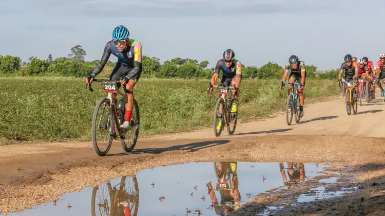 The 4G race covers a variety of terrain. 2019 Great Gator Gravel Grinder. © Ross Lukoff
