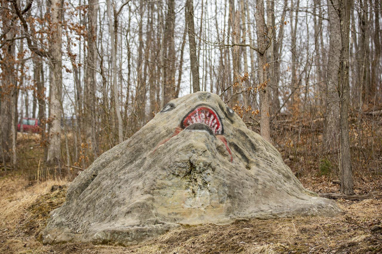 The race got its name from this local landmark. 2019 Baitin' the Shark Gravel Race, Ohio. © Jen Adams, Limelight Studios