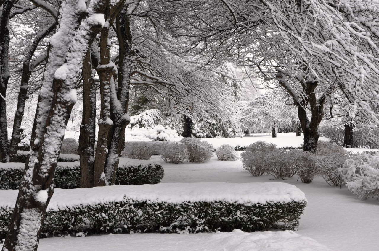 Could we see a snowy Nationals? Cantigny Park, 2020 Cyclocross Nationals Venue. © DuPage Convention and Visitors Bureau