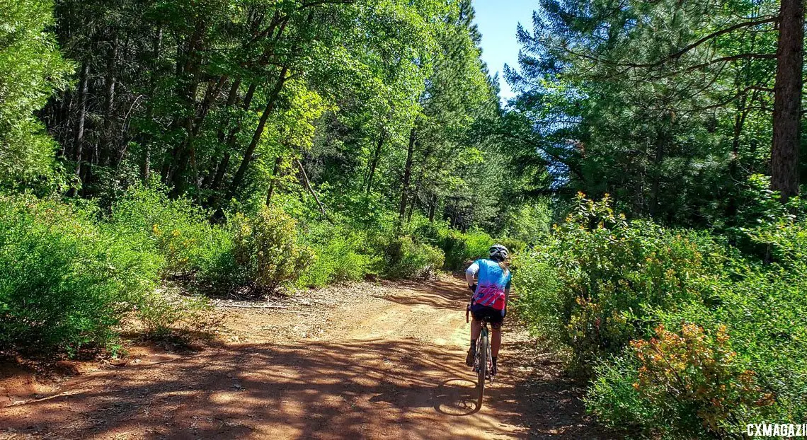 About 2/3rd of the ride took place on forest service roads with the occasional single track and paved road sprinkled in. 2019 Auburn Dirt Fondo gravel ride. © W. Hawkins / Cyclocross Magazine