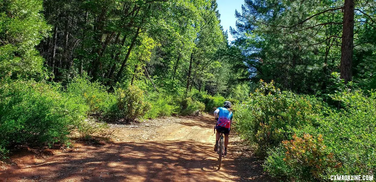 About 2/3rd of the ride took place on forest service roads with the occasional single track and paved road sprinkled in. 2019 Auburn Dirt Fondo gravel ride. © W. Hawkins / Cyclocross Magazine