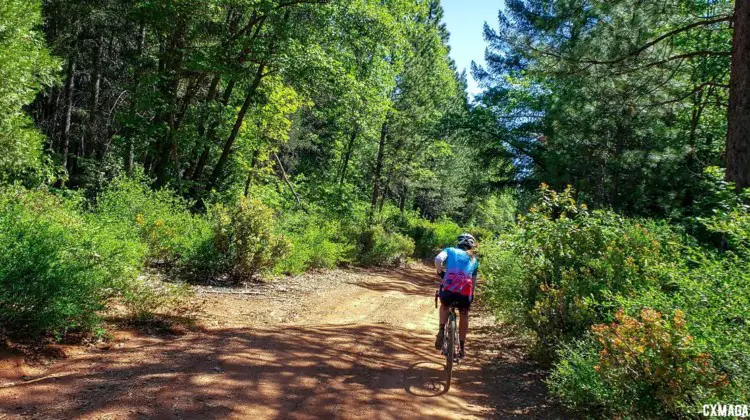 About 2/3rd of the ride took place on forest service roads with the occasional single track and paved road sprinkled in. 2019 Auburn Dirt Fondo gravel ride. © W. Hawkins / Cyclocross Magazine