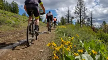 Racers enjoyed wildflowers and wet, dust-free conditions. 2019 Lost and Found gravel race. © A. Yee / Cyclocross Magazine