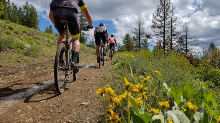 Racers enjoyed wildflowers and wet, dust-free conditions. 2019 Lost and Found gravel race. © A. Yee / Cyclocross Magazine