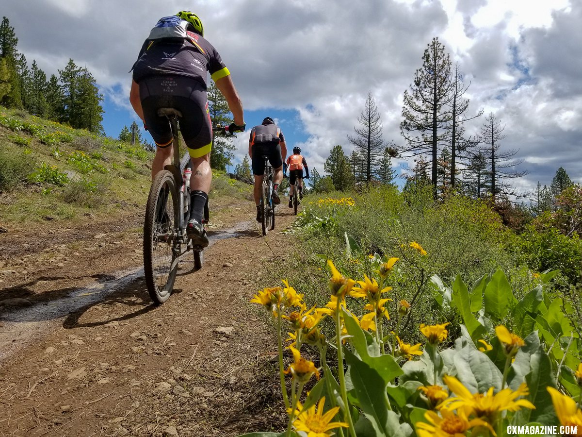 Working drivetrain or not, racers enjoyed wildflowers and wet, dust-free conditions. 2019 Lost and Found gravel race. © A. Yee / Cyclocross Magazine