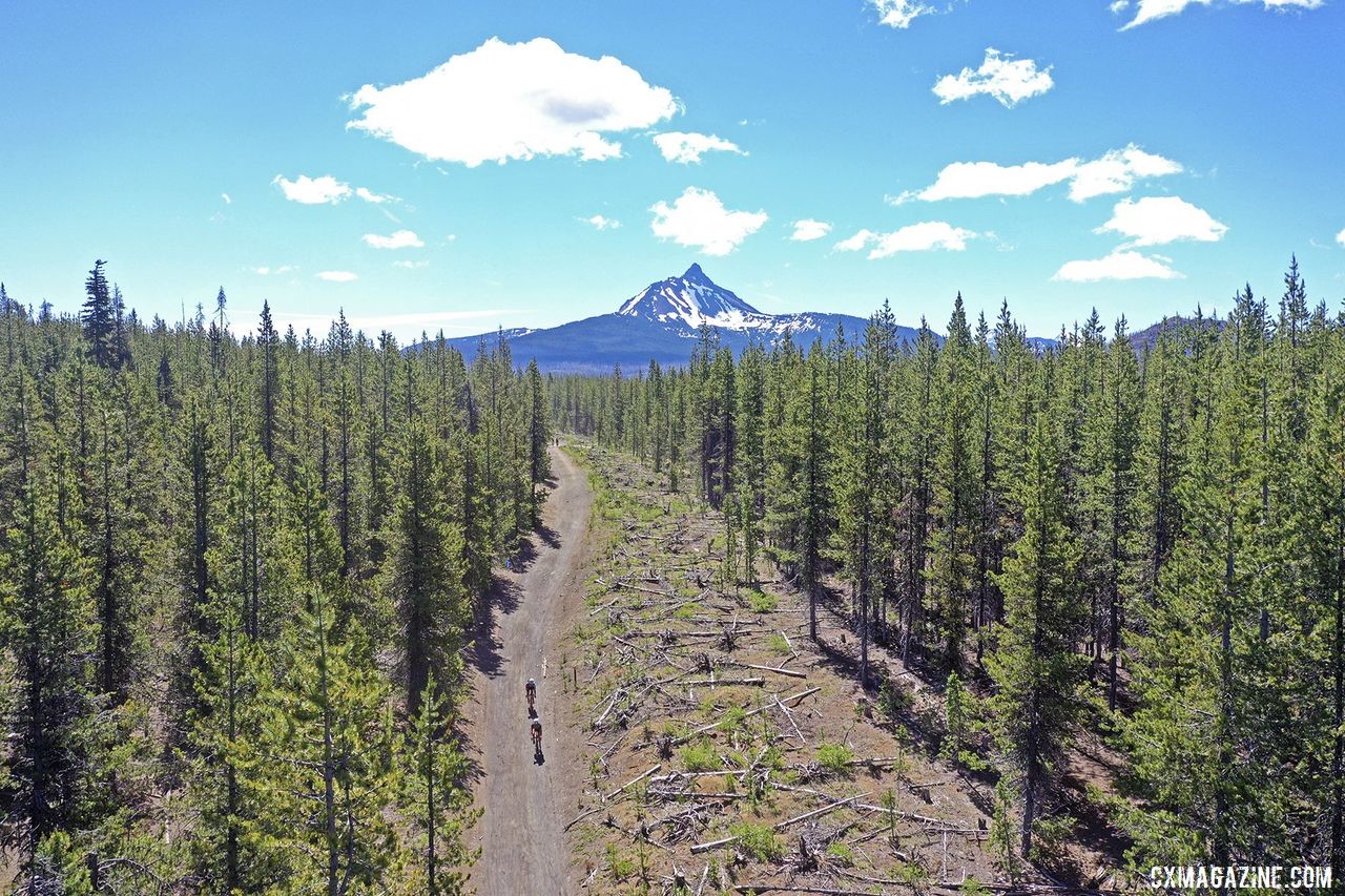 Riders wind through the pines on Day 1. 2019 Oregon Trail Gravel Grinder. © Adam Lapierre