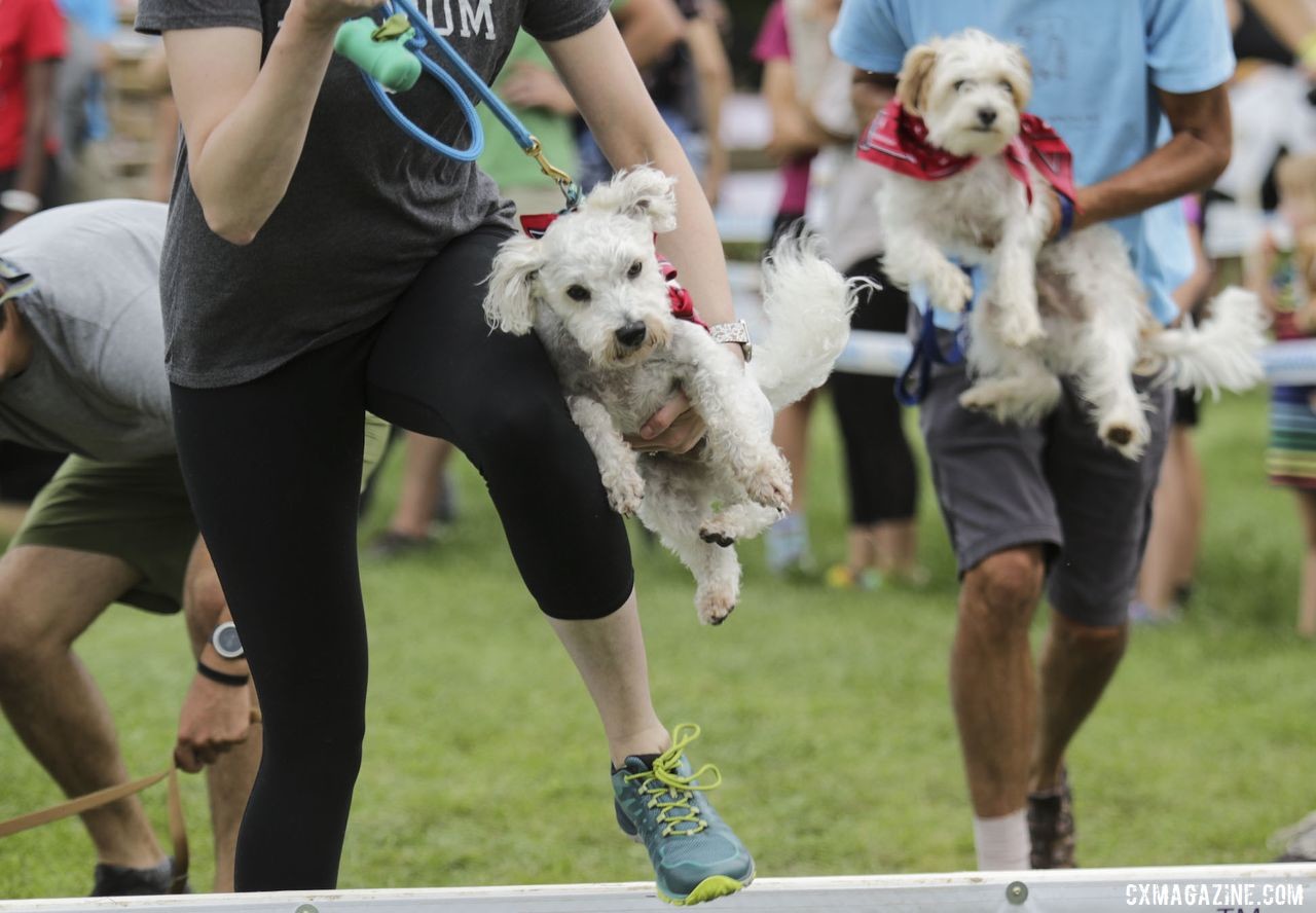 Top-level suitcasing on display. 2019 Doggy Cross, Jingle Cross World Cup. © D. Mable / Cyclocross Magazine