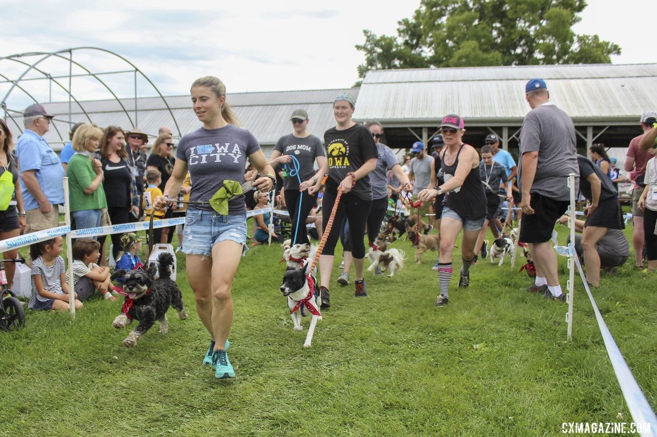 The Doggy Crossers race out to the holeshot. 2019 Doggy Cross, Jingle Cross World Cup. © Z. Schuster / Cyclocross Magazine