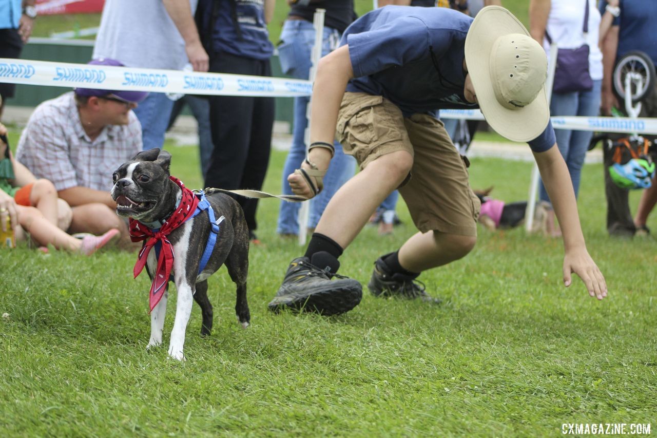 Who's leading who here? 2019 Doggie Cross, Jingle Cross World Cup. © Z. Schuster / Cyclocross Magazine