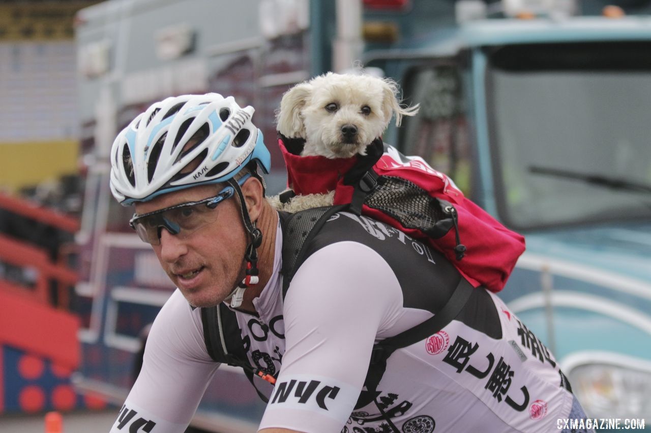 Although the Doggy Cross was in Iowa City last weekend, this four-legged friend joined Saturday's Legends Race. 2019 Trek CX Cup and World Cup Waterloo Scene. © D. Mable / Cyclocross Magazine