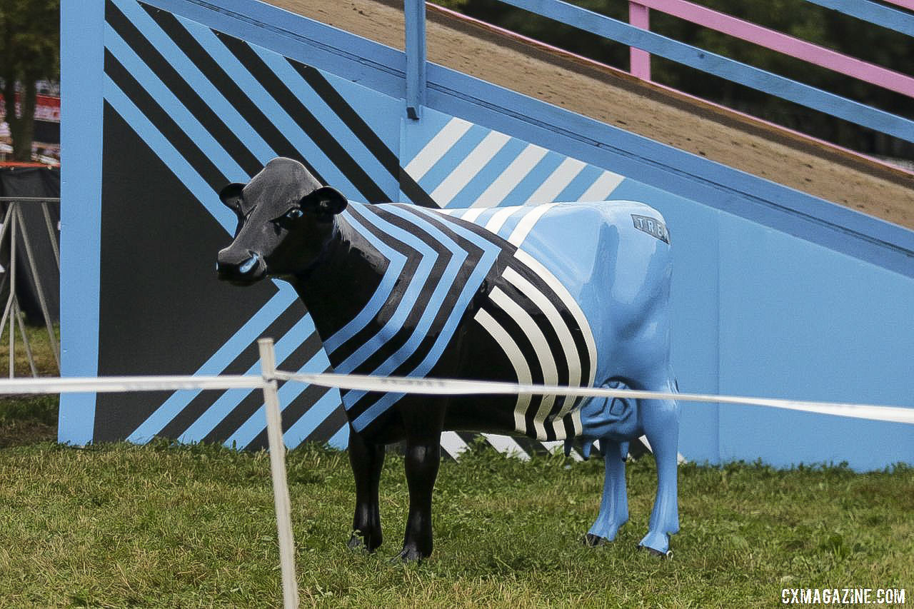 Matchy-matchy, cow edition. 2019 Trek CX Cup and World Cup Waterloo Scene. © D. Mable / Cyclocross Magazine
