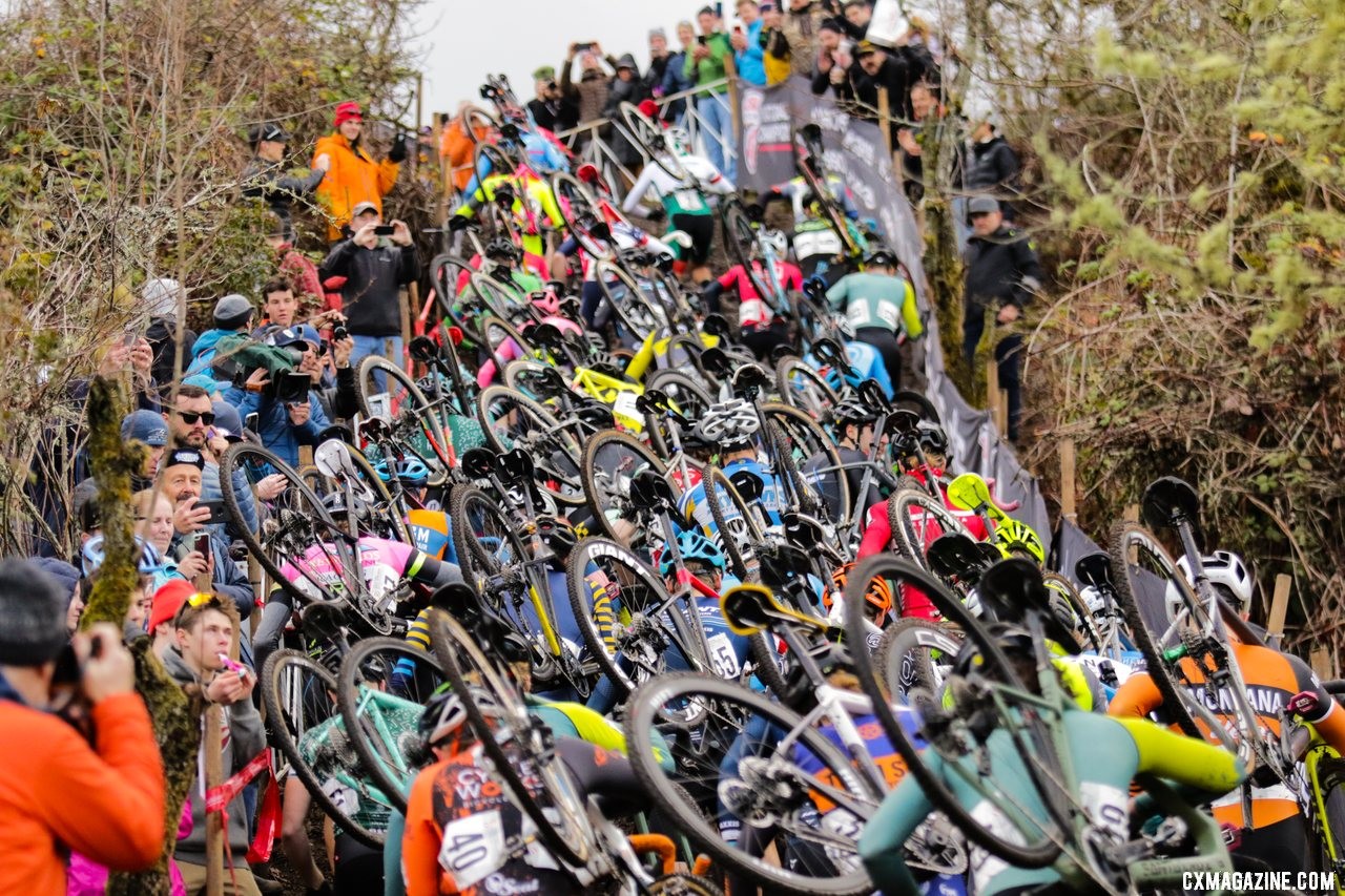 Traffic jam on the first climb for the Elite Men. Elite Men. 2019 Cyclocross National Championships, Lakewood, WA. © D. Mable / Cyclocross Magazine