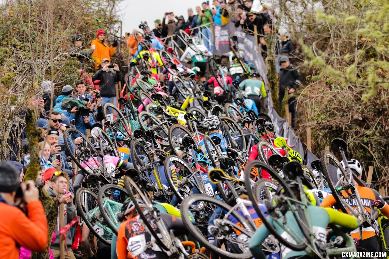 The Elite Men looked to write their own story on Sunday. Elite Men. 2019 Cyclocross National Championships, Lakewood, WA. © D. Mable / Cyclocross Magazine