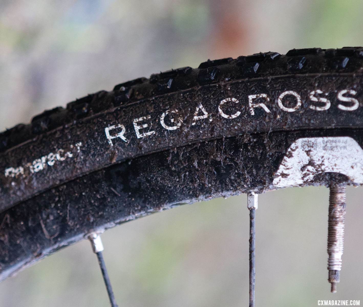 panaracer tubes
