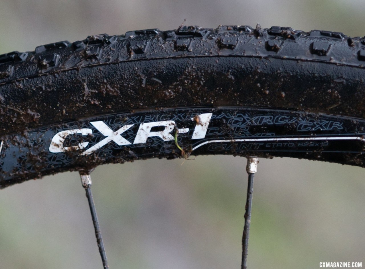 The rims on Giant's CXR aluminum wheels are 24mm wide. Emily Cameron's Collegiate Club Women-winning Giant TCX cyclocross bike. 2019 USA Cycling Cyclocross National Championships bike profiles, Lakewood, WA. Photo: © A. Yee / Cyclocross Magazine