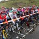Start line at Hoogergeide. 2022 Hoogerheide UCI Cyclocross World Cup, Elite Women. © B. Hazen / Cyclocross Magazine