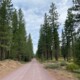 Susanville and the gravel roads near Lassen National Park await cyclists on September 9. photo: courtesy