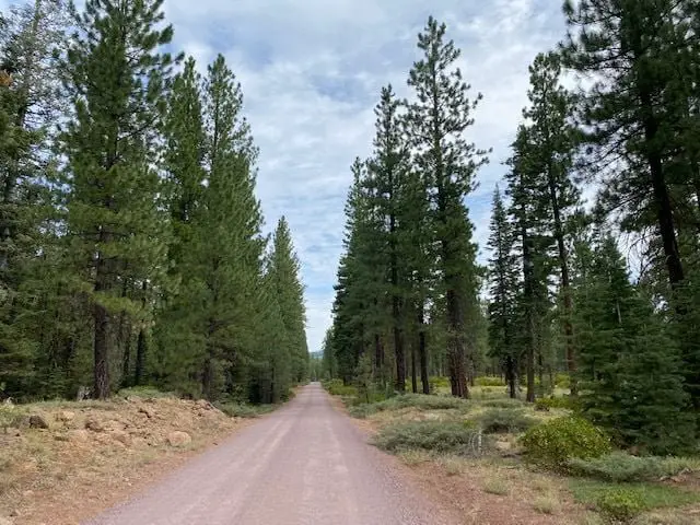 Susanville and the gravel roads near Lassen National Park await cyclists on September 9. photo: courtesy