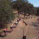 2023 VSRTCX Cyclocross Race in Livermore, celebrating the life of Jim Lund