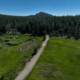 2025 Truckee Gravel brings three course, free racing for Juniors.