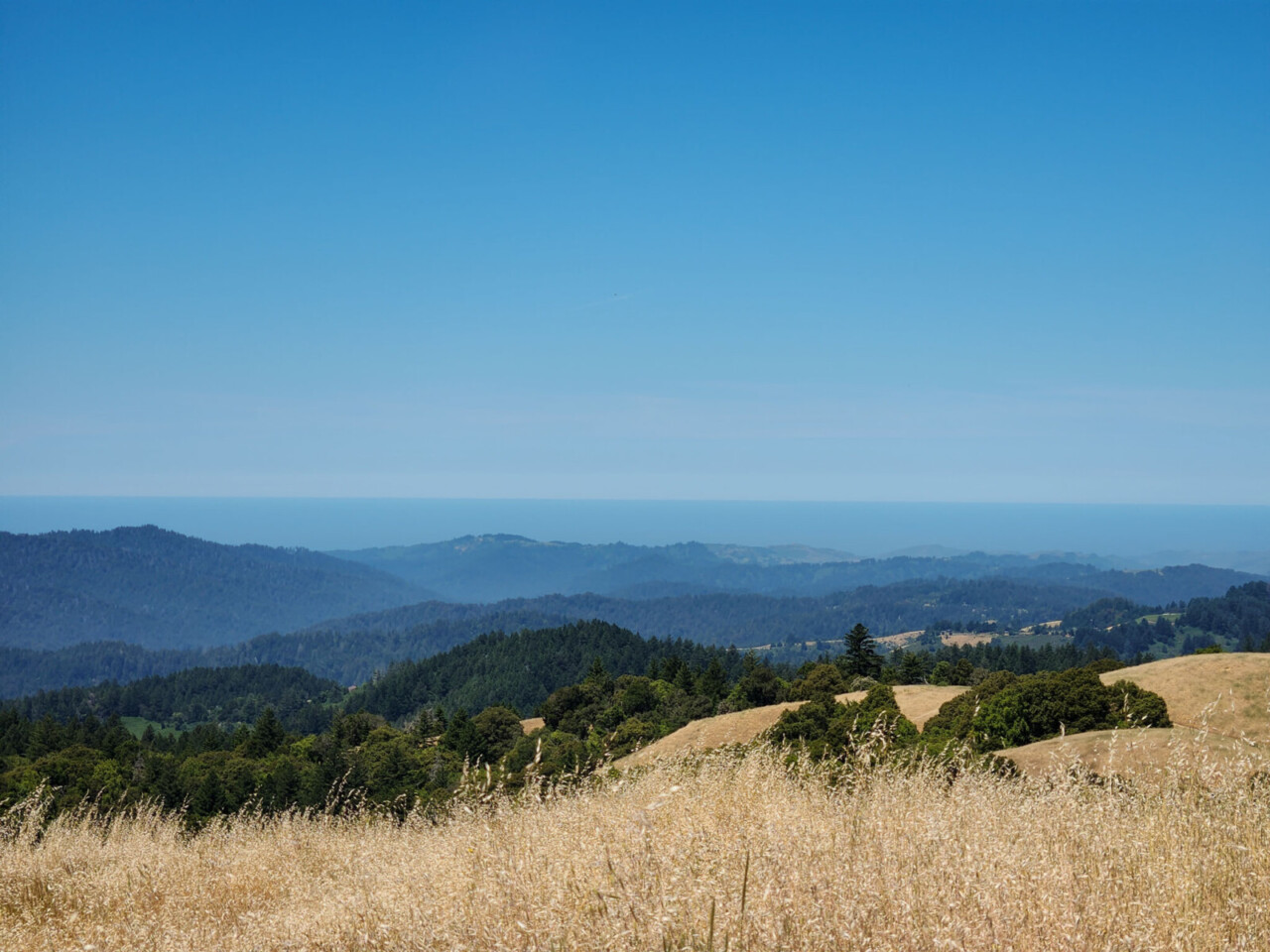 The 2025 Infestation Gravel traverses through Monte Bello, Skyline Ridge, Long Ridge and Saratoga Gap preserves of Mid Peninsula Regional Open Space. © Cyclocross Magazine