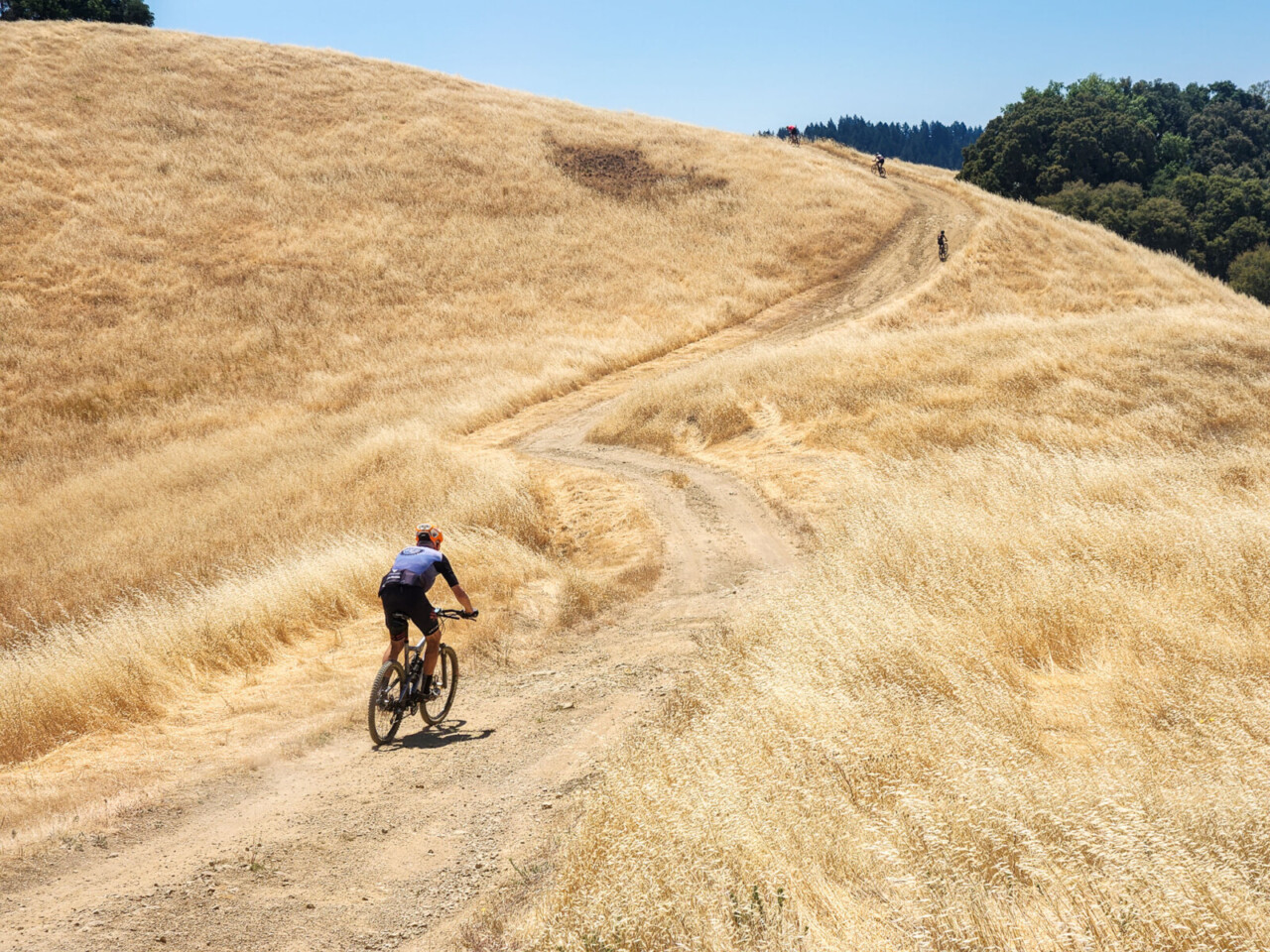 The 2025 Infestation Gravel traverses through Monte Bello, Skyline Ridge, Long Ridge and Saratoga Gap preserves of Mid Peninsula Regional Open Space. © Cyclocross Magazine